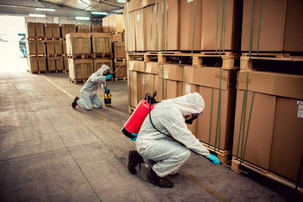 Best Best Pest Control Companies  in Wesley Hills, NY
