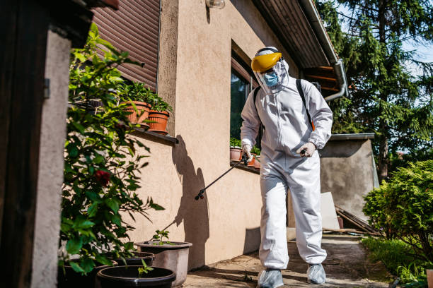 Best Pest Control for Homes  in Wesley Hills, NY