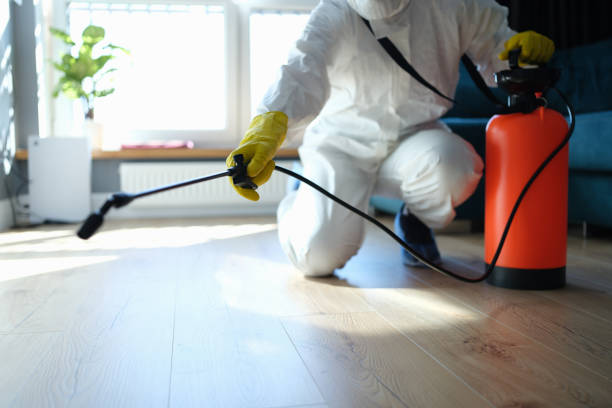 Best Pest Prevention Services  in Wesley Hills, NY