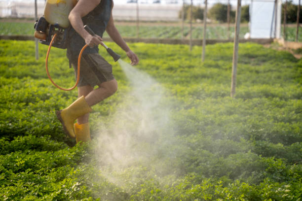 Best Ant Control Services  in Wesley Hills, NY