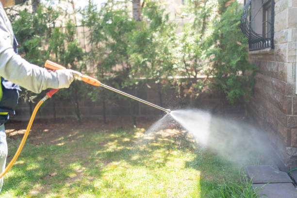 Best Best Pest Control Companies  in Wesley Hills, NY