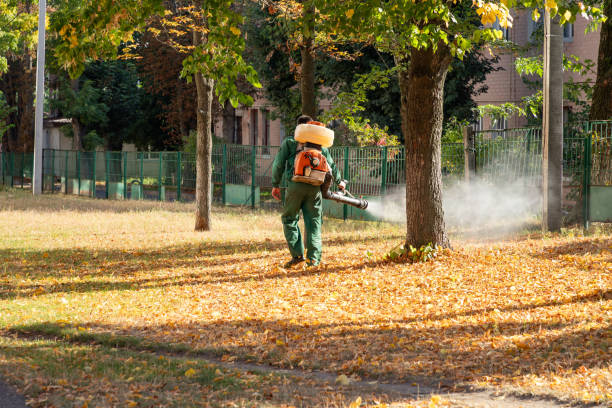 Best Affordable Pest Control Services  in Wesley Hills, NY