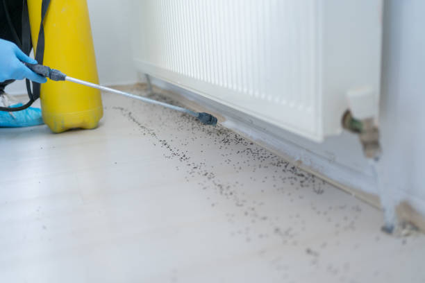 Best Pest Removal Services  in Wesley Hills, NY